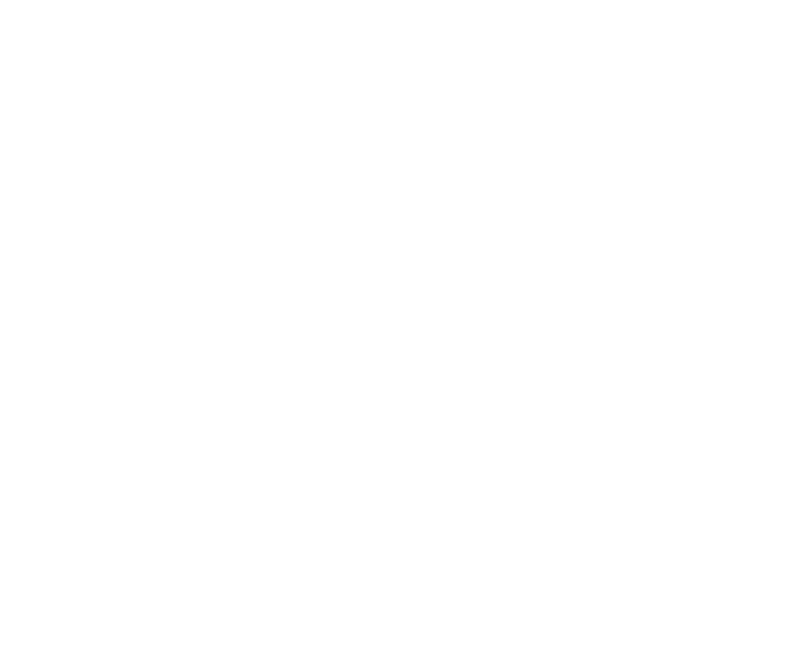 Illu Icon Cocogoose Anfuehrungszeichen