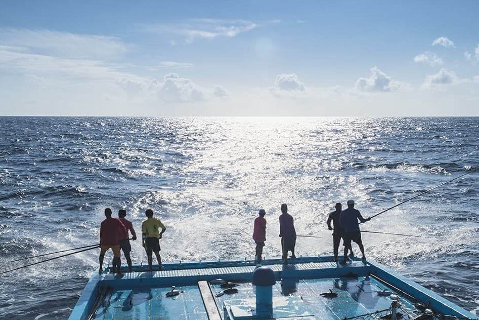 followfood Fischfang Malediven